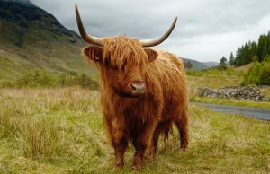 Tarımın Geleceği: Tarım Robotları ve Verimlilik Artışı tarimin gelecegi tarim robotlari ve verimlilik artisi