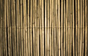 Saz Çatı: Doğanın Zarafetiyle Geleneksel ve Modern Tasarımlar saz4